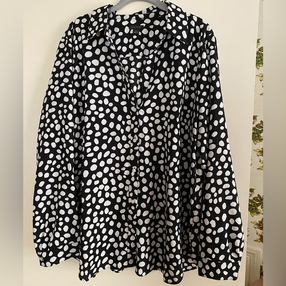 Ann Taylor Black and White Blouse